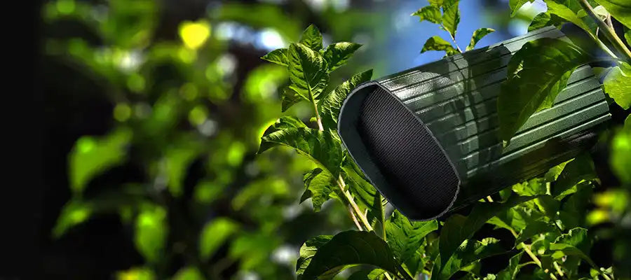 Green cylindrical speaker.