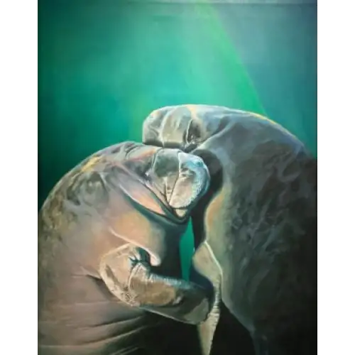 Image of Manatee Love