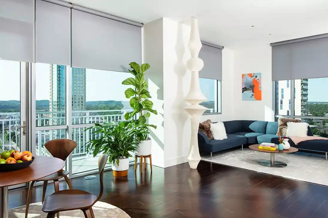 Modern living room interior.