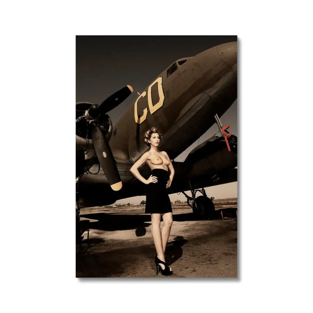Pilot by David Mecey Eco Canvas - 20’x30’ / White Wrap