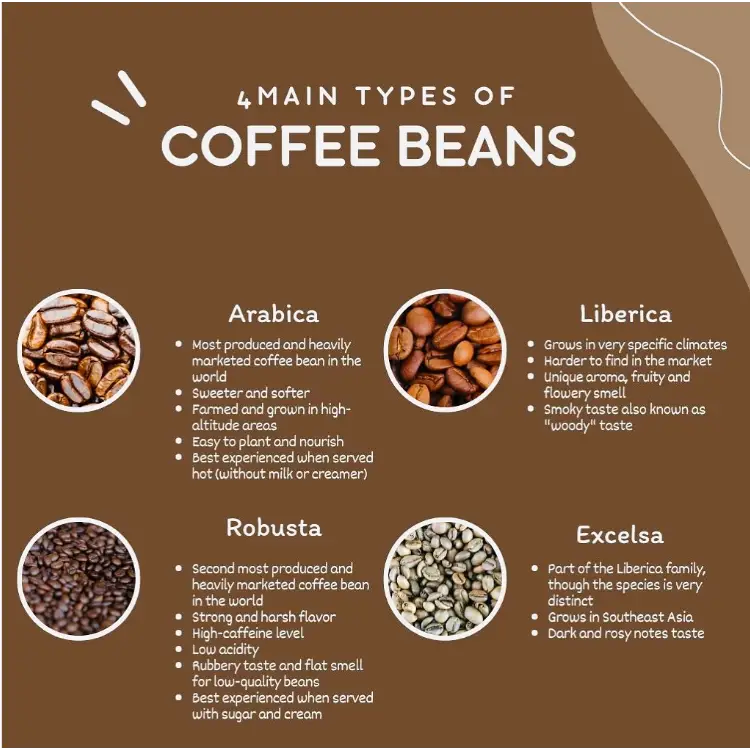 Amokka Coffee - Choose your favorites