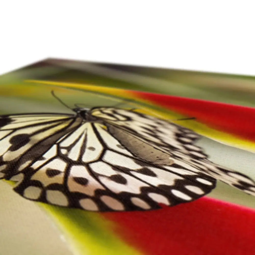 Butterfly by David Mecey Eco Canvas - 20’x30’ / White