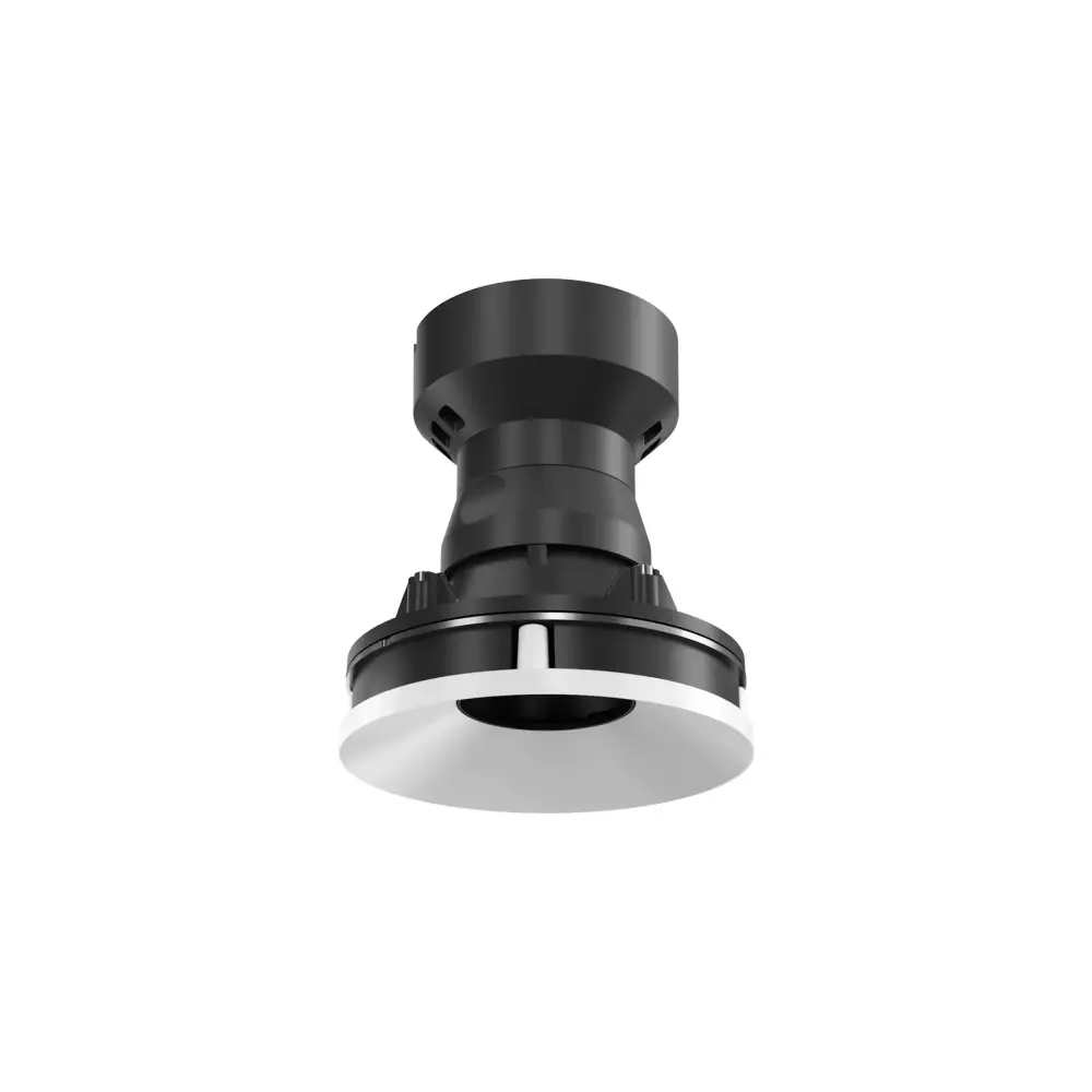 Flos Eclectic Downlight