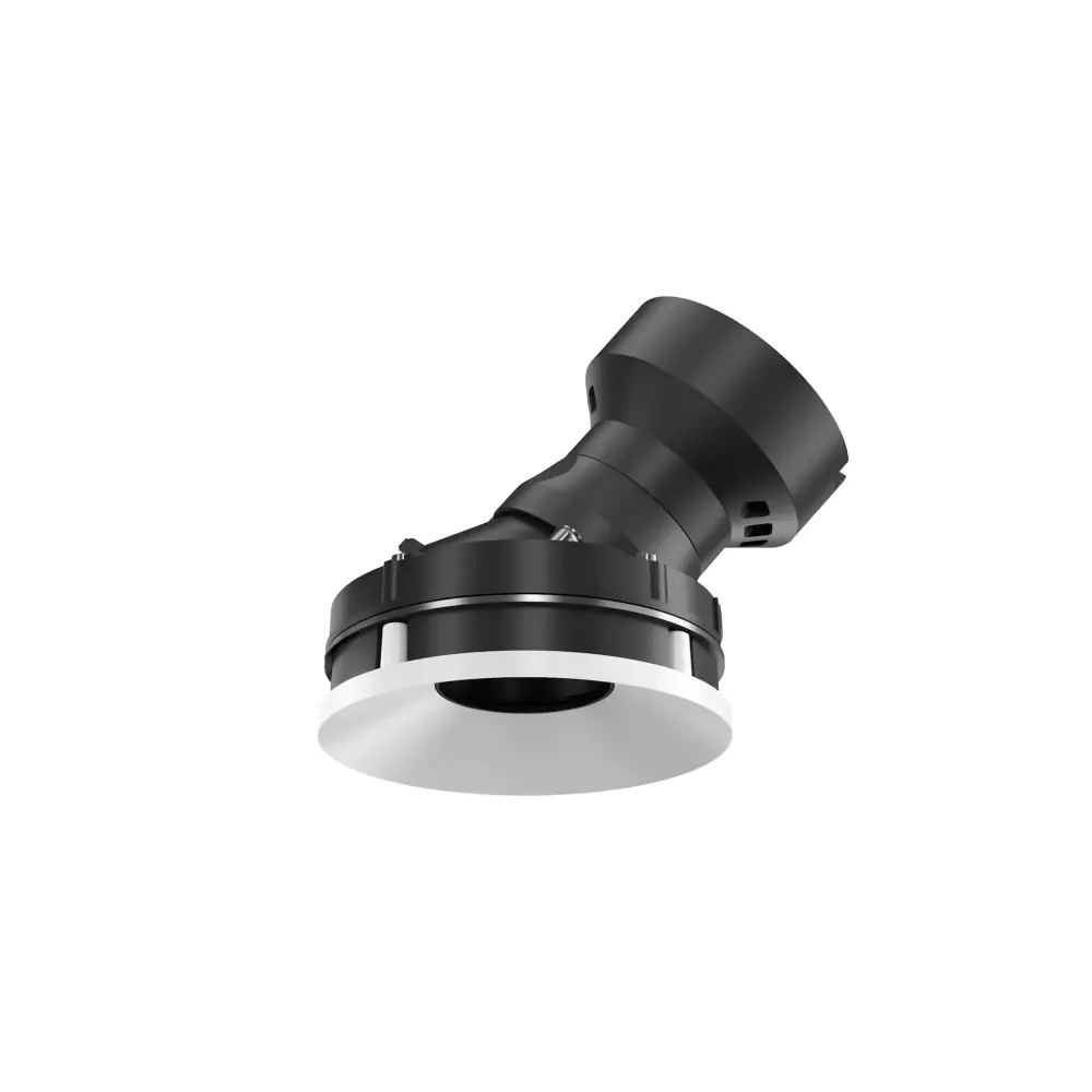 Flos Eclectic Downlight