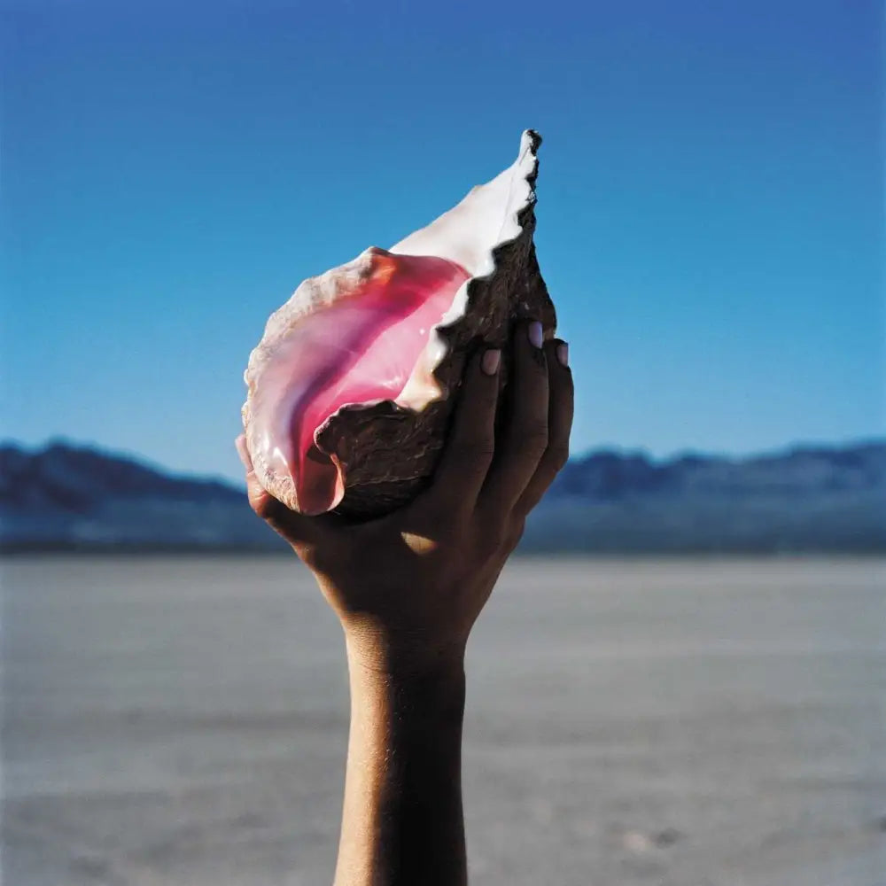 Killers, The - Wonderful Wonderful [LP] - Island Records - Private Technology Group
