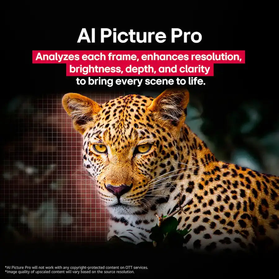 LG 55’’-83’’ OLED C5 series TV