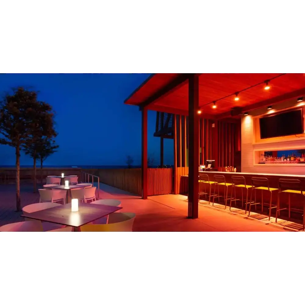 Lutron Lamps & Track Lighting
