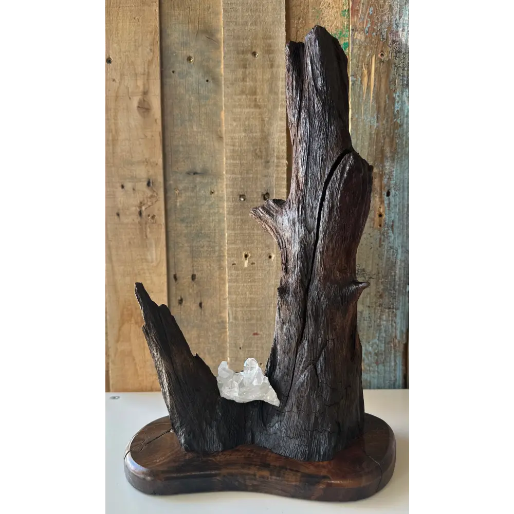 Walnut Roots with Crystal - Original Artwork